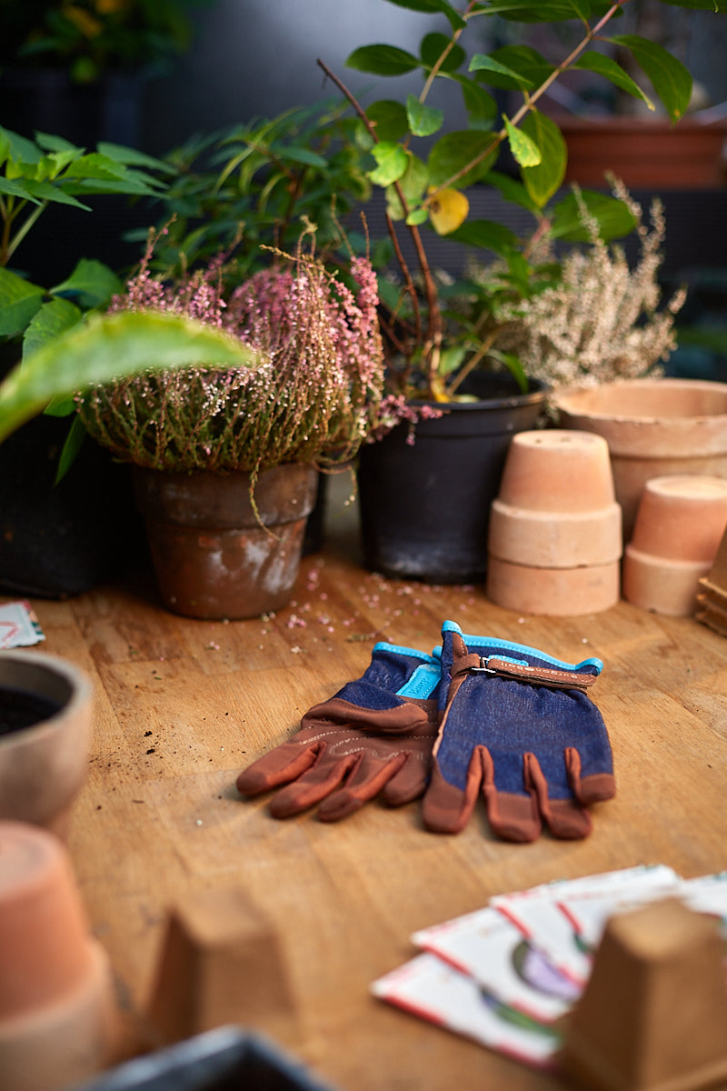 Burgon & Ball Havehandske - Love The Glove Denim